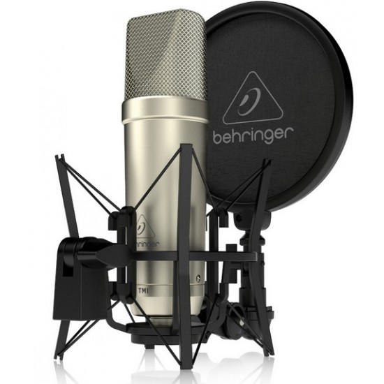 德國 Behringer TM1 電容麥克風 大振膜 宅錄 人聲 收音 錄音室 遊戲 