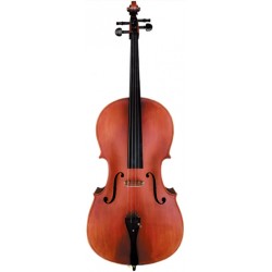 Cello LD 高級大提琴 面板雲杉實木 側背板虎紋楓木